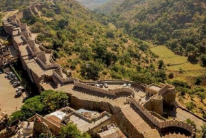 Day Trip Of Kumbhalgarh Fort & Wildlife Safari From Udaipur