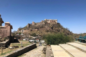 Day Trip Of Kumbhalgarh Fort & Wildlife Safari From Udaipur