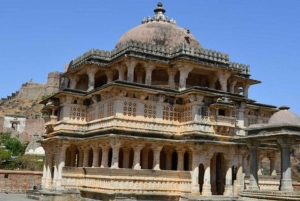 Day Trip Of Kumbhalgarh Fort & Wildlife Safari From Udaipur