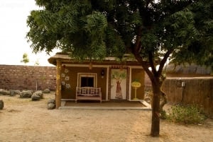 Gita di un giorno al villaggio di Bishnoi da Jodhpur