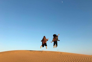 Visite d'une demi-journée à dos de chameau avec coucher de soleil sur les dunes de sable