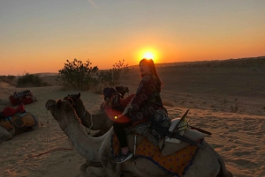 Bländande halvdags kamelsafari med solnedgång vid sanddyner