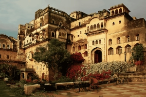 Delhi: Neemrana-fortet fra 1400-tallet – bil, guide, lunsj