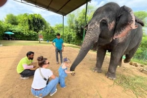 Delhi: Golden Triangle Tour with Taj Mahal, Forts & Palaces