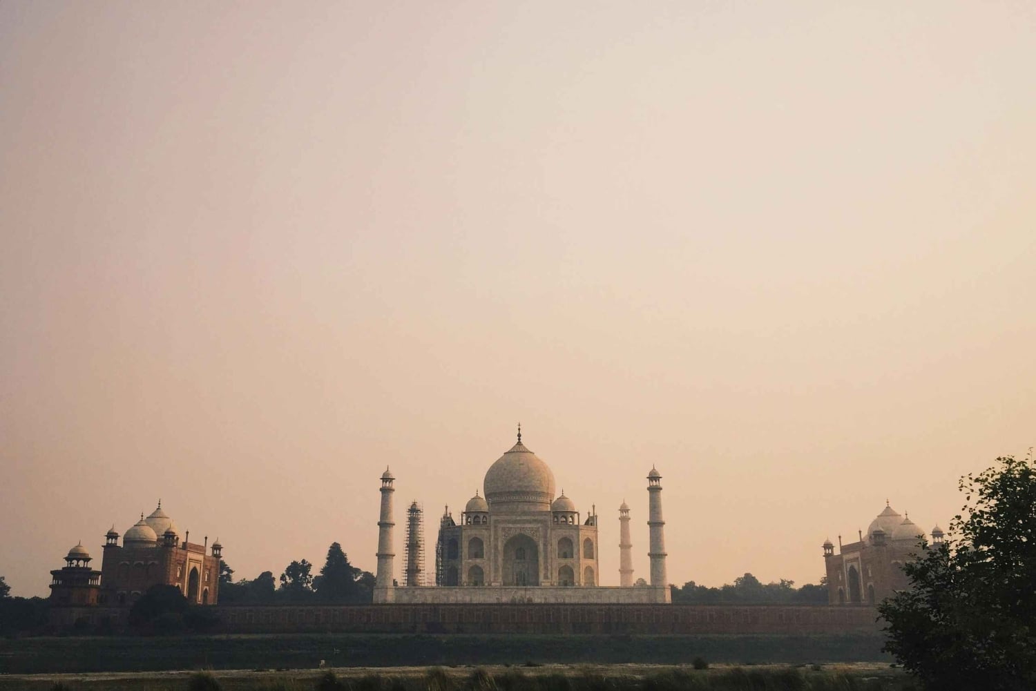 Delhi: 3-dniowa wycieczka po Złotym Trójkącie z wizytą w Elephant SOS