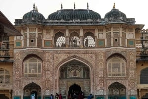 Delhi: 3-dniowa wycieczka po Złotym Trójkącie z wizytą w Elephant SOS