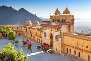 Delhi : 3 jours d'excursion dans le Triangle d'Or à Delhi, Agra et Jaipur