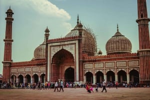 Från Delhi: 3-dagars privat tur till Indiens gyllene triangel