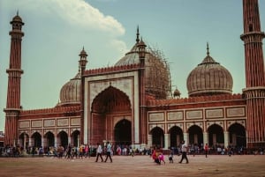 Au départ de Delhi : visite privée de 3 jours du Triangle d'Or avec hôtels