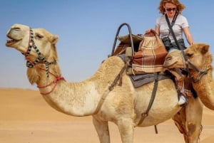 Deli: Passeio de 3 dias em Pushkar e Jaipur com sessão de ioga