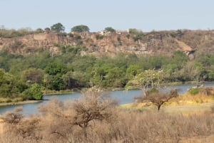 Delhi: 3-Day Ranthambhore Tiger Safari Tour with Train Ride
