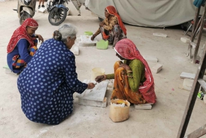 Delhi: Excursión de 3 días al Parque Nacional de Ranthambore con Safari