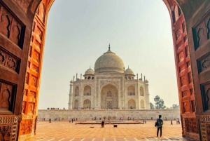 Delhi: 4 dagars Golden Triangle med Ranthambore (5-stjärniga hotell)