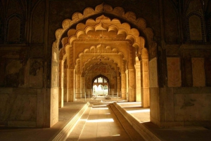 Delhi: 4 dagars Golden Triangle med Ranthambore (5-stjärniga hotell)