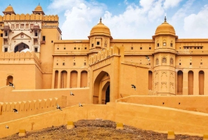 Delhi: 4 dagars Golden Triangle med Ranthambore (5-stjärniga hotell)