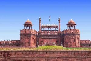 Delhi: 6-dages tur til Agra, Jaipur og Neemrana