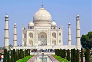 Delhi: 6-dages tur til Agra, Jaipur og Neemrana