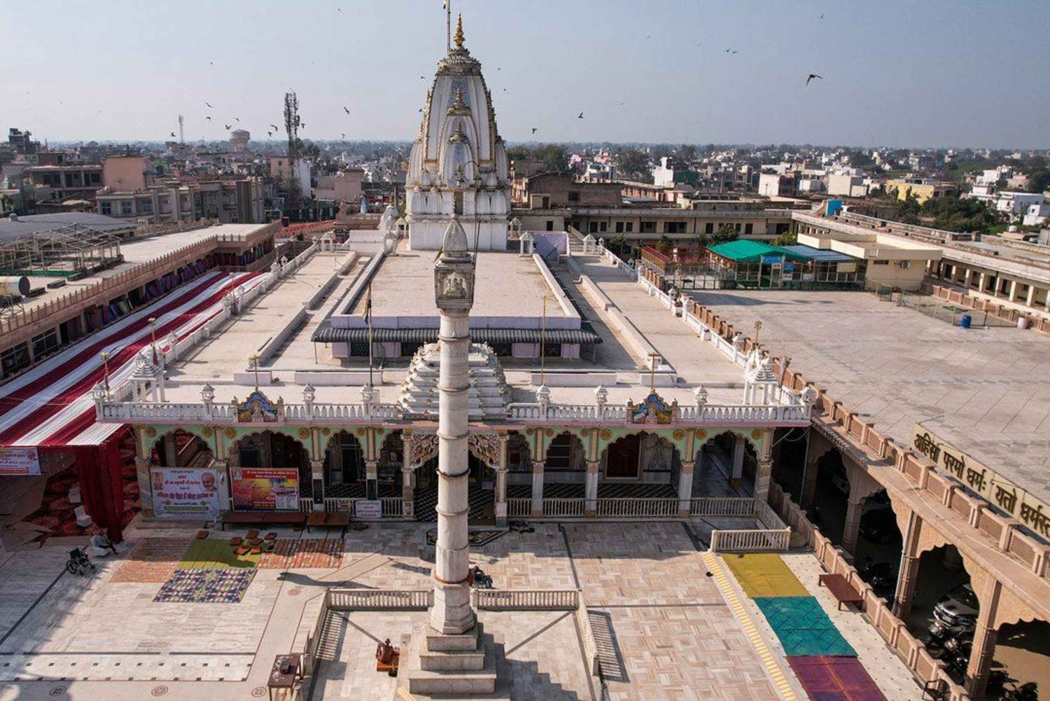 Delhi: 8-Day Royal Cities Tour with Alwar & Wildlife