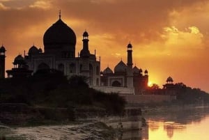 Viaje al Triángulo de Oro con Safari en Ranthambore