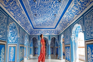 Delhi Agra Jaipur Gouden Driehoek Meerdaagse Tour met Safari