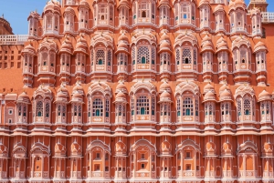 Delhi Agra Jaipur Gouden Driehoek Meerdaagse Tour met Safari