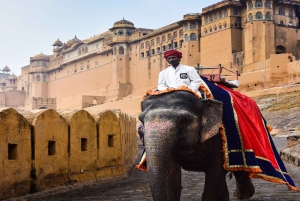 Tour privato All Inclusive Delhi-Agra-Jaipur del Triangolo d'oro