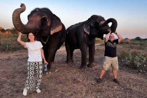 Delhi, Agra och Jaipur – en lyxig 3-dagars privat tur i Gyllene Triangeln