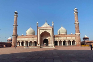 Delhi, Agra och Jaipur – en lyxig 3-dagars privat tur i Gyllene Triangeln