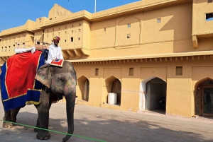 Delhi, Agra och Jaipur – en lyxig 3-dagars privat tur i Gyllene Triangeln