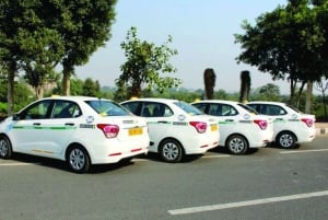 From Delhi, Agra, or Jaipur: Private One-Way Transfer