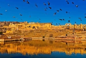 Delhi: Dagstur til Jaipur Amber Fort med transport til byens palads