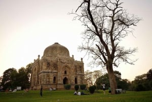 Delhi: Full Day Guided Tour of Old City