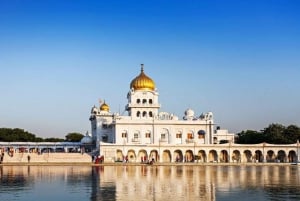 Delhi: Koko päivän tai puolen päivän yksityinen kierros vanhassa ja uudessa Delhissä