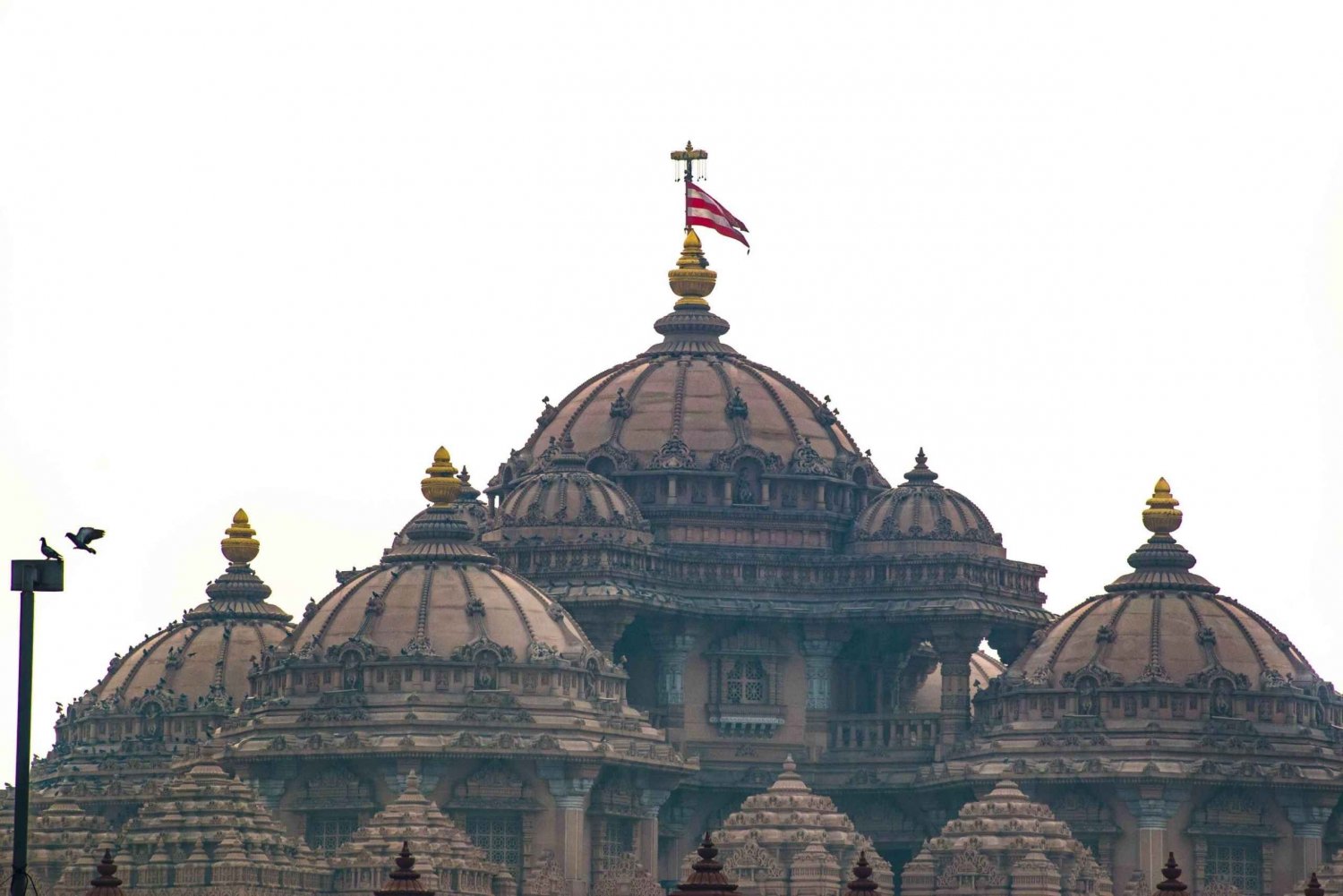 Delhi: Full Day Temples Tour with Transfers