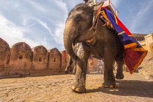 Delhi : Visite de groupe du Triangle d'Or - Agra et Jaipur en 5 jours