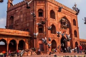 Delhi: Golden Triangle Tour with Ayurvedic Massages