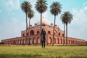 Delhi: Golden Triangle Tour with Taj Mahal, Forts & Palaces