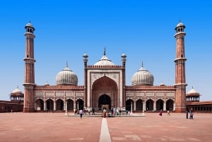 Delhi: Heritage Landmarks Guided Tour, 4-8 Hours