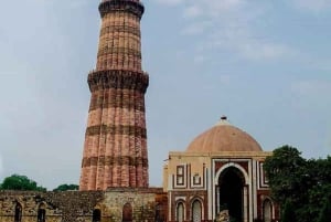 Delhi/Jaipur: 4 dager med Sariska og Ranthambore Safari