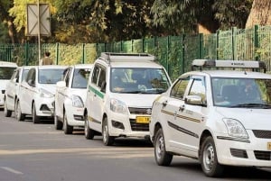 Delhi/Jaipur/Agra: Privat enveistransport
