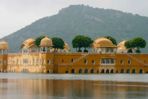 Delhi: Jaipur, Amber Fort & Jantar Mantar Private Day Tour