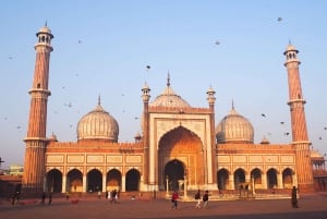 Delhi: Gamla och nya Delhi privat stadsrundtur med guide