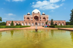 Delhi: Gamla och nya Delhi privat stadsrundtur med guide