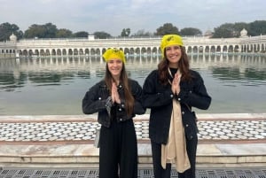 Delhi: tour privado de día completo o medio día por la antigua y la nueva Delhi