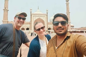 Delhi: tour privado de día completo o medio día por la antigua y la nueva Delhi