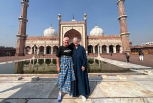 Delhi: tour privado de día completo o medio día por la antigua y la nueva Delhi