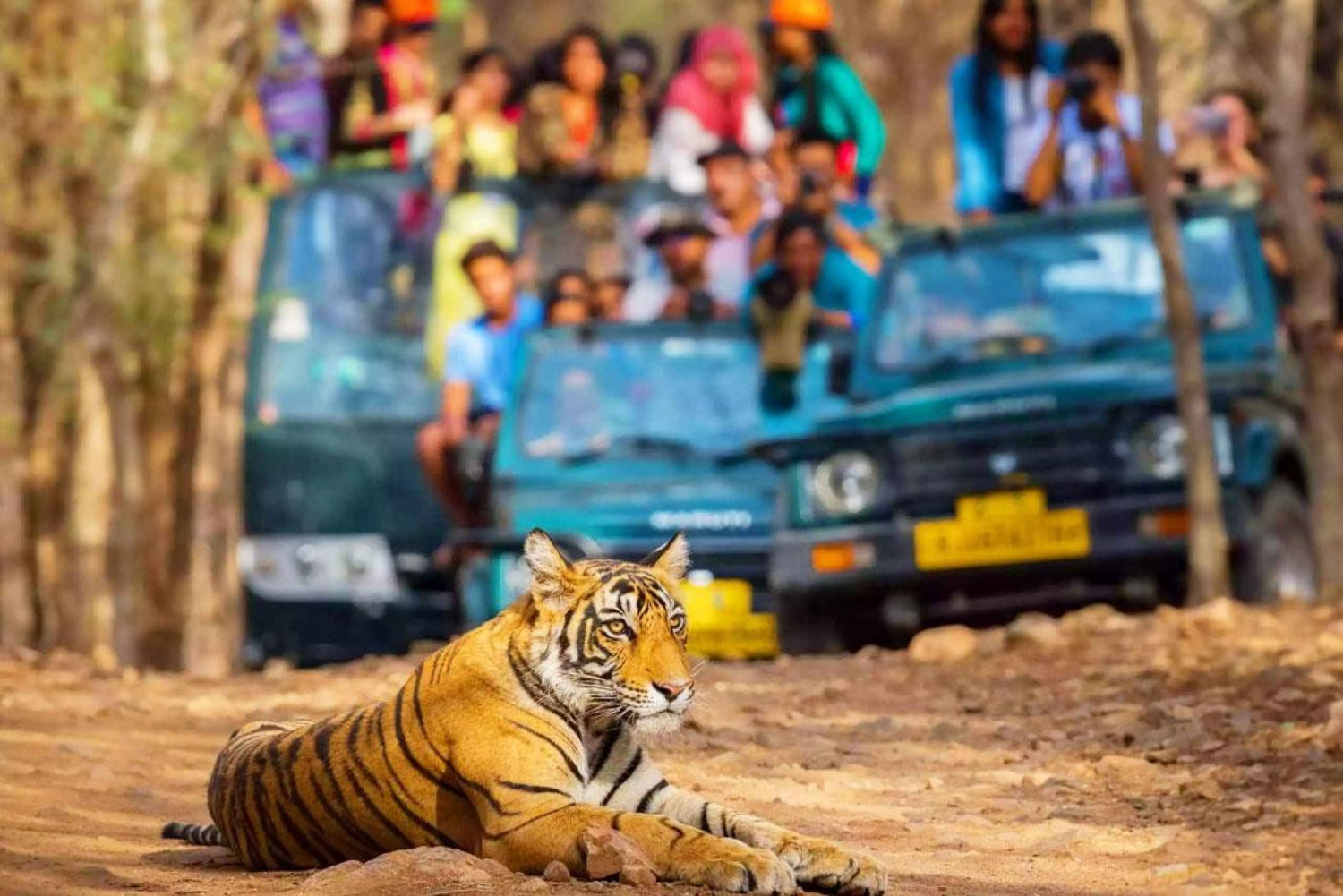 Delhi: Tour particular de 5 dias pelo Triângulo Dourado com Safári do Tigre