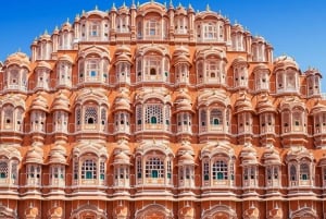 Delhi: Privat 5-dagars Golden Triangle-turné med tigersafari
