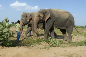 Delhi: Private Golden Triangle 3-Day Tour with Taj Mahal