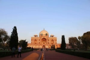 Delhi: Privat 6-dages udflugt i Den Gyldne Trekant med Agra og Jaipur